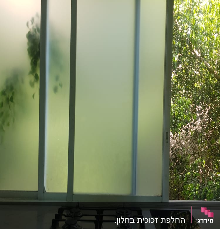 חלון זכוכית חלבית עם צמחייה מטושטשת מאחוריו